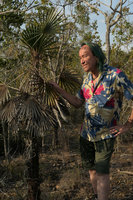 Patrick Blanc looking at Coccothrinax garciae, Holguin, Cuba, Feb.2017