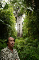 Patrick Blanc looking at Freycinetia banksii in front of the oldest Kauri tree, Agathis australis, Waipoua, New Zealand, Dec 2012