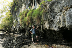 Patrick Blanc looking at grass clumps growing on vertical limestone cliff along sea shore, Railay, Krabi, Thailand, March 2017