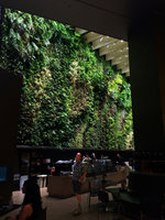 Patrick Blanc looking at his almost six years old Vertical Garden, Capitaland, 6 th Battery Road, Singapore, Aug. 2016