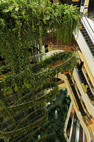Patrick Blanc looking at his Rainforest Chandelier after two years of growth, Emquartier, Bangkok, March 2017