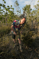 Patrick Blanc looking at Jacaranda cowellii growing on serpentine rocks, Holguin, Cuba, Feb.2017