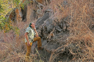 Patrick Blanc looking at leafless and burnt individuals of Xerophyta kirkii growing on bare rocks, Lake Malawi NP, Aug. 2017