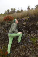 Patrick Blanc looking at Lupinus bogotensis on vertical earth slope, under frailejones, Espeletia grandiflora, Chingaza paramo, Bogota, Colombia, Oct. 2016