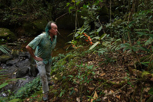 Patrick Blanc looking at Medinilla amplectens as a low epiphyte close to river bank , Mt kinabalu, 1600 m asl, Sabah, Borneo, July 2022