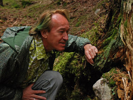 Patrick Blanc looking at mosses at the base of a tree trunk, French Alps, April 2010