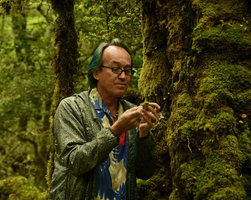 Patrick Blanc looking at mosses, Fjordland, New Zealand, Jan 2013