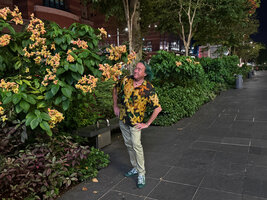 Patrick Blanc looking at Mussaenda 'Calcutta Sunset' in Singapore, April 2025
