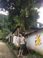 Patrick Blanc looking at Rhipsalis hanging from tree branches in the city, Minca, Magdalena, Colombia, Nov. 2016
