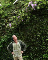 Patrick Blanc looking at Rhododendron ripense blooming on the vertical garden, flowers, Shinkansen station, Yamaguchi, Japan, April 2017