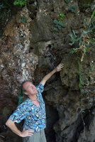 Patrick Blanc looking at sea exposed limestone cliff dwelling species, Railay, Krabi, Thailand, Dec 2015