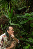 Patrick Blanc looking at the coiling leaf tips of Flagellaria gigantea, Bouma Nat. Heritage Park, Taveuni, Fiji, Aug. 2016