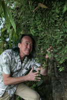 Patrick Blanc looking at the curtain of the hanging stems of Elatostema repens, Nam Ta waterfall, Ba Be, Vietnam, Nov. 2017