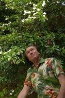 Patrick Blanc looking at the expanded white sepals of Mussaenda aestuarii inflorescences along the Karawari river, Sepik, Papua New Guinea, March 2016
