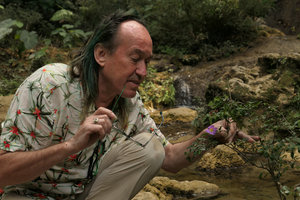 Patrick Blanc looking at the flower of Ginoria americana, a rheophytic shrub, El Nicho, Cienfuegos, Cuba, Feb.2017
