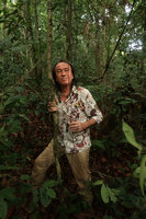 Patrick Blanc looking at the hanging feeding aerial black barbed roots of the new Cercestis species, Ebodje, Campo, Cameroon, March 2018