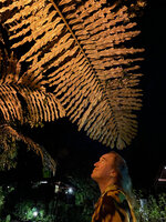 Patrick Blanc looking at the huge frond of Arenga undulatifolia, Pulau Gaya, sabah, Borneo, July 2022