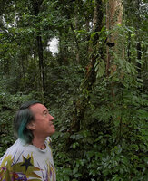 Patrick Blanc looking at the low epiphytic Burbidgea cf. stenantha, Danum Valley, Sabah, Borneo, July 2022