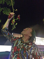 Patrick Blanc looking at the night blooming cultivated Kigelia africana with dark purple flowers, Miami Beach, Florida, July 2016