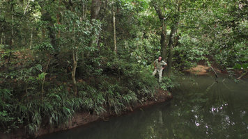 Patrick Blanc looking at the population of a Pitcairnia species growing on a vertical forest river bank, Lagos de Menegua, Puerto Lopez, Meta, Colombia, Oct. 2016
