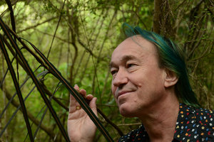 Patrick Blanc looking at the Pseudopanax crassifolius leaves, Putangirua, Wellington, New Zealand