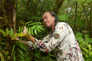 Patrick Blanc looking at the pseudo petiolate folded leaf sheath base of Freycinetia caudata, Des Voeux peak, Taveuni, Fiji, Aug. 2016