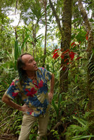 Patrick Blanc looking at the red leaves of a climbing Medinilla, probably Medinilla heterophylla,  Waisali, Vanua Levu, Fiji, Aug. 2016