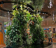 Patrick Blanc looking at the rocky structures covered by plants at Terminal 2, Changi airport, Singapore, Sept. 2023