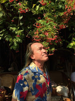 Patrick Blanc looking at the simple flowered form of Quisqualis indica covering a pergola, Bangkok, Jan 2016