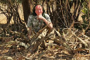 Patrick Blanc sitting among a vegetative population of the brown striped cryptic Sansevieria kirkii, Lake Malawi NP, Aug. 2017