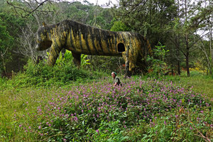 Patrick Blanc lying among  carpeting Desmodium in front of the famous cave carved tiger, Hang Cop Waterfall, Dalat, Vietnam, Nov. 2019