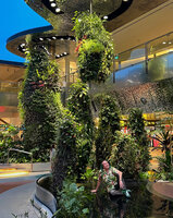 Patrick Blanc lying on the transparent glass covering the fish pond of the Dreamscape Garden in Changi airport T2, Singapore, Nov. 2023