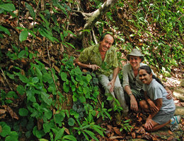 Patrick Blanc, Mark Hughes and Rosario Rubite on the earth slope habitat of Begonia tagbanua, PPSRNP, Sabang, Palawan, Philippines, May 2011