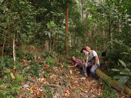 Patrick Blanc, Noemie Vialard and Pascal Heni in front of a Begonia blancii population, Palawan, Philippines, March 2014
