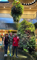 Patrick Blanc observing the perfect growth of the plants in the Dreamscape Garden with Khaja Nazimuddeen and Qian Yi Lee, five months after the inauguration of the Terminal 2 extension, Changi airport, Singapore, April 2024