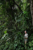 Patrick Blanc observing a climbing Freycinetia, Tenaru Falls, Guadalcanal, Solomon Islands, Sept. 2019