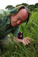 Patrick Blanc observing a dark purple, almost black form of Siphonochilus kirkii, Katavi NP, Tanzania, Jan. 2021