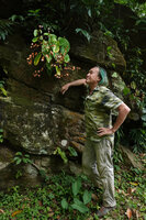 Patrick Blanc observing a flowering and fruiting individual ob Begonia engleri on a vertical boulder near a waterfall, East Usambara Mts, 500 m asl, Tanzania, Jan. 2021