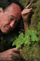 Patrick Blanc observing a flowering population of the small Monophyllaea chinii, Bantimurung, South Sulawesi, June 2019