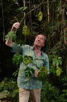 Patrick Blanc observing a freely hanging stem of Rhaphidophora tetrasperma, way from Tapah to Lata Iskandar, Perak, Malaysia, April 2023