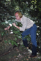 Patrick Blanc observing a Pilea with succulent stems, Sri Lanka, Jan. 2005