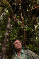 Patrick Blanc observing Argostemma yappii as a low epiphyte with bright white flowers in the mossy forest, Cameron Highlands, Malaysia, April 2023