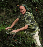 Patrick Blanc observing a silver leaved Elatostema at the top of a limestone rock covered by mosses, Maros, South Sulawesi, June 2019