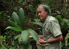 Patrick Blanc observing Asplundia polymera, Serra do Tabuleiro, Santa Catarina, Brazil, Oct. 2018