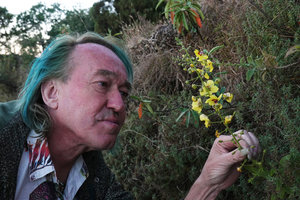 Patrick Blanc observing a Verbascum at dusk, Simien NP, Ethiopia, Jan. 2019