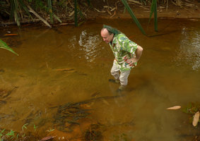 Patrick Blanc observing a well developed individual of Barclaya longifolia, Takua Pa, Phang Nga, Thailand, Dec 2015