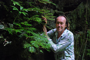 Patrick Blanc observing Begonia pteridiformis in its vertical limestone cliff habitat, Khao Sok,Thailande Août 2009