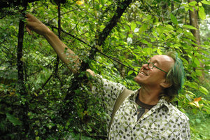 Patrick Blanc observing climbing plants, Cilan forest, Taiwan, June 2007