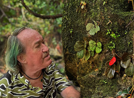 Patrick Blanc observing diffrent leaf color forms of Begonia blancii that he discovered in the same Balalacao waterfall in February 2009, El Nido, Palawan, Philippines, April 2026