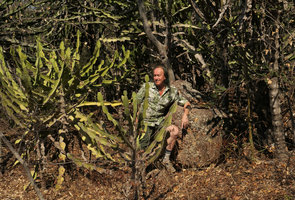 Patrick Blanc observing Euphorbia cooperi, Mumbo Island, Lake Malawi NP, Aug. 2017